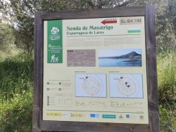 Flora del Cerro Masatrigo